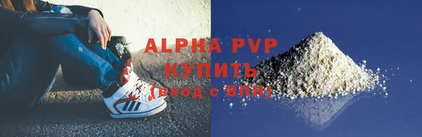 хмурый Няндома