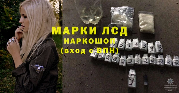 ГАЛЛЮЦИНОГЕННЫЕ ГРИБЫ Алексин
