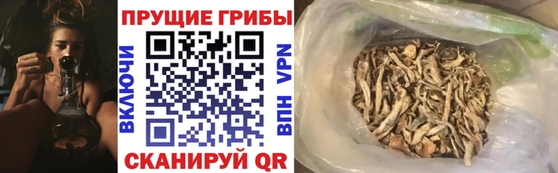 Псилоцибиновые грибы Magic Shrooms  кракен ССЫЛКА  Арамиль 